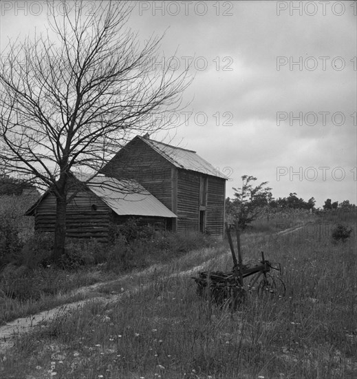Hillside Farm road leading from sharecropper's house..., Person County, North Carolina, 1939. Creator: Dorothea Lange.