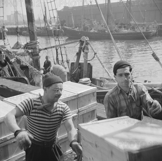 Possibly:  Loaders placing fish that has been taken from boats, boxed, and iced..., New York, 1943. Creator: Gordon Parks.