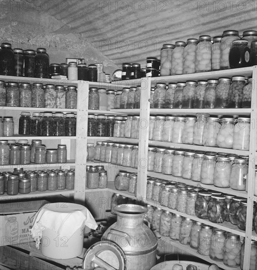 Interior of Mrs. Botner's storage cellar, Nyssa Heights, Malheur County, Oregon, 1939. Creator: Dorothea Lange.