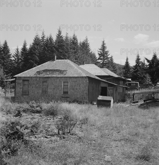 Possibly: Company houses of closed mill..., Malone, Grays Harbor County, Western Washington, 1939. Creator: Dorothea Lange.