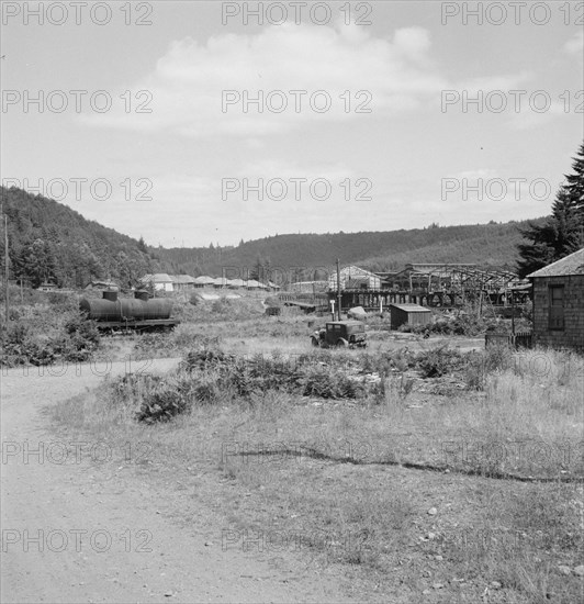 Possibly: Company houses of closed mill..., Malone, Grays Harbor County, Western Washington, 1939. Creator: Dorothea Lange.