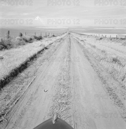 Western wheat country in a region which yields..., Umatilla County, Oregon, 1939. Creator: Dorothea Lange.