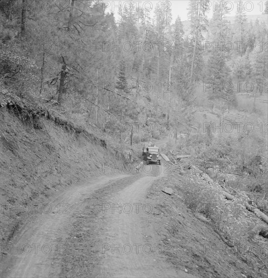 Bringing in load of logs late in the afternoon...Ola self-help co-op farm, Gem County, Idaho, 1939. Creator: Dorothea Lange.