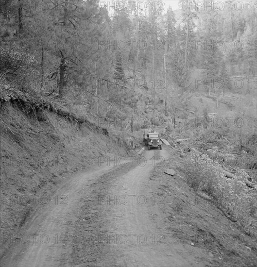 Bringing in load of logs late in the afternoon from the woods..., Gem County, Idaho, 1939. Creator: Dorothea Lange.