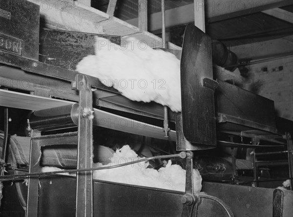 Cotton from the bale is transported by belt to...making cotton bats, Laurel, Mississippi, 1939. Creator: Dorothea Lange.