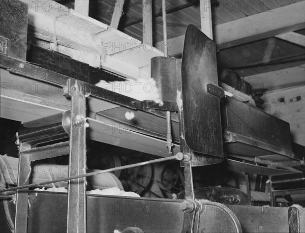 Cotton from the bale is transported by belt...for making bats, Laurel, Mississippi, 1939. Creator: Dorothea Lange.
