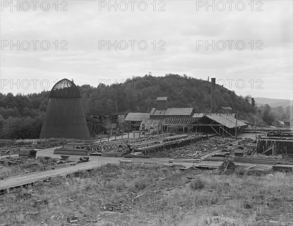 Possibly: Mumby Lumber Mill, closed in 1938..., Malone, Grays Harbor County, Washington, 1939. Creator: Dorothea Lange.