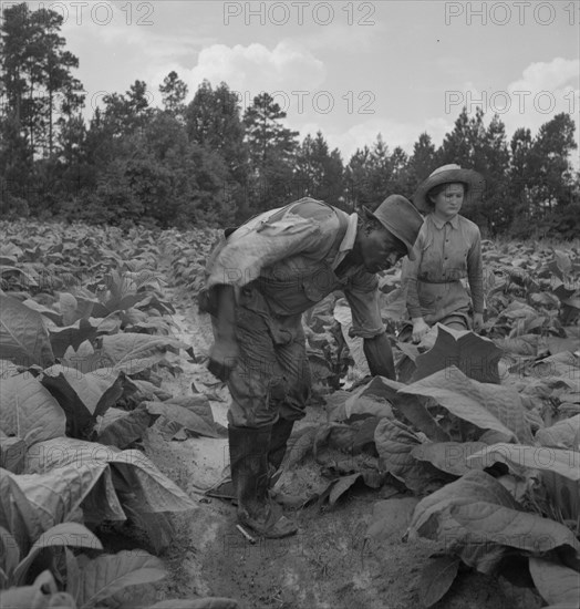 Possibly: Negro tenants...and white owner's children..., Granville County, North Carolina, 1939. Creator: Dorothea Lange.