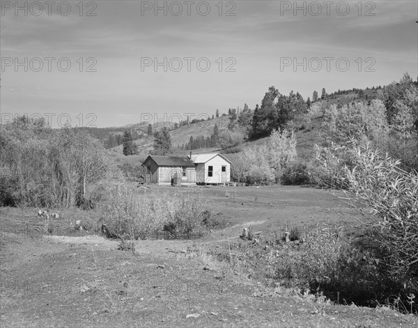 Home of Claude Kanady, president of the Ola self-help sawmill co-op, Gem County, Idaho, 1939. Creator: Dorothea Lange.