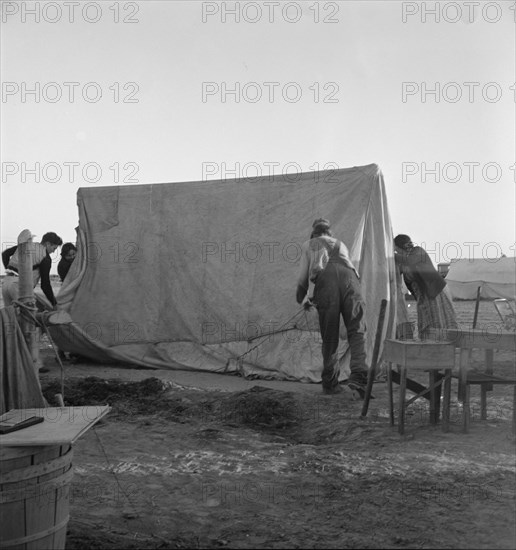 FSA migratory labor camp (emergency), Calipatria, Imperial Valley, CA, 1939. Creator: Dorothea Lange.