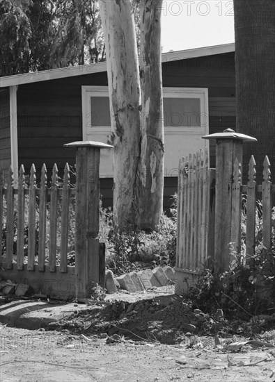 FSA Mineral King Farm Cooperative Association, Tulare County, California, 1939. Creator: Dorothea Lange.