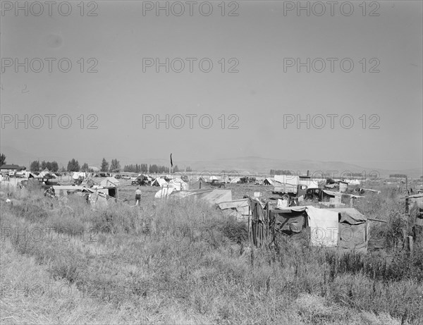 Families camped on flat before season opens..., near Merrill, Klamath County, Oregon, 1939 Creator: Dorothea Lange.