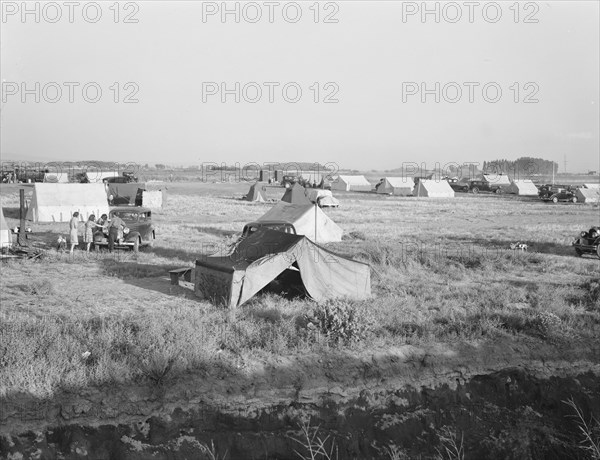 Families camped on flat before season opens..., near Merrill, Klamath County, Oregon, 1939 Creator: Dorothea Lange.