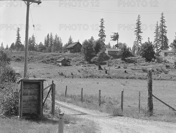 Western Washington stump farm, near Vader, Lewis County, Washington, 1939. Creator: Dorothea Lange.