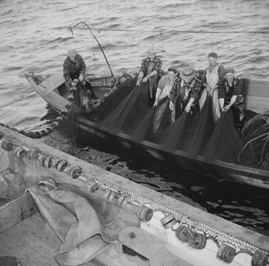 On board the fishing boat Alden, out of Gloucester, Massachusetts, 1943. Creator: Gordon Parks.