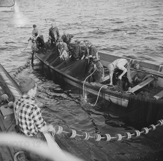 On board the fishing boat Alden, out of Gloucester, Massachusetts, 1943. Creator: Gordon Parks.