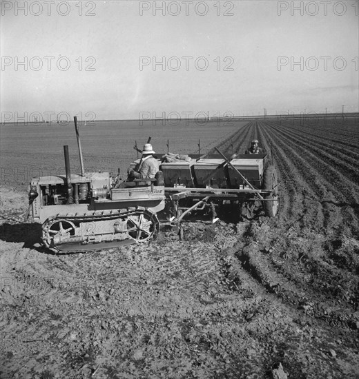 Large-scale, mechanized farming - potato planter, Kern County, California, 1939. Creator: Dorothea Lange.