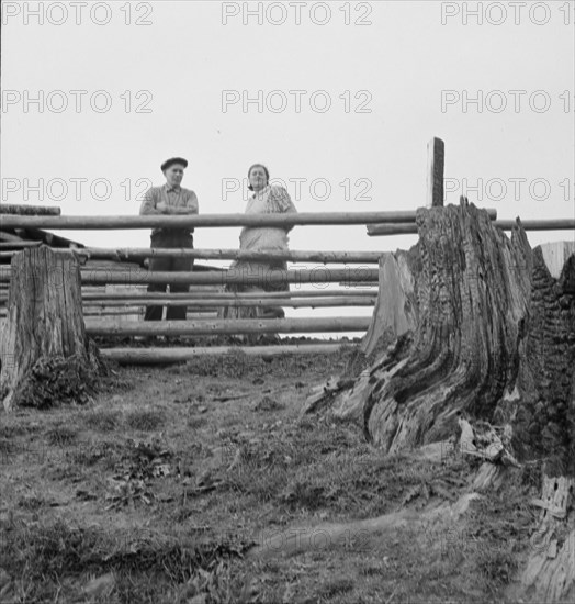 Possibly: Farm family in the cut-over land, Priest River Valley, Bonner County, Idaho, 1939. Creator: Dorothea Lange.