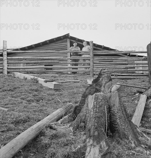 Possibly: Farm family in the cut-over land, Priest River Valley, Bonner County, Idaho, 1939. Creator: Dorothea Lange.