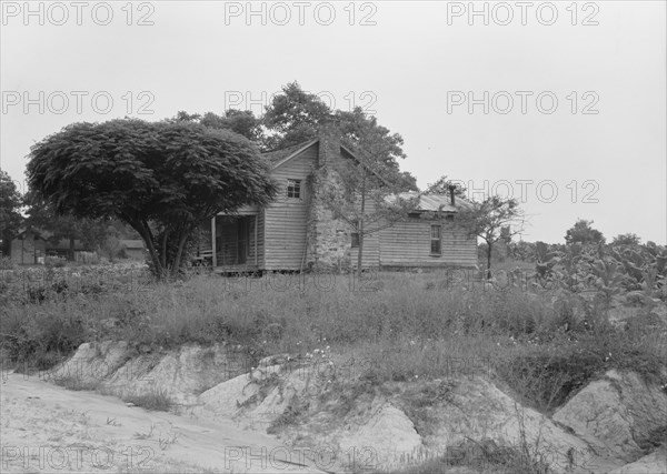 Story-and-a-half weatherboard house, Person County, North Carolina, 1939. Creator: Dorothea Lange.