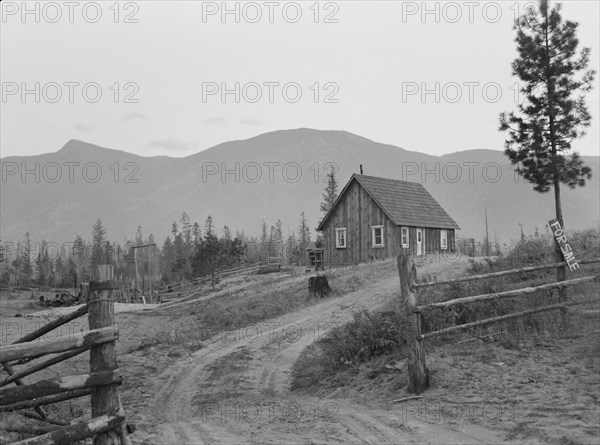 Farm for sale, Boundary County, Idaho, 1939. Creator: Dorothea Lange.