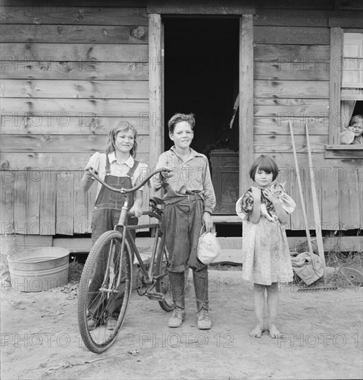 Three of the four Arnold children, Michigan Hill, Western Washington, 1939. Creator: Dorothea Lange.