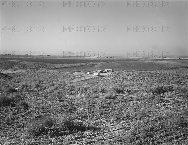 Sage bush, hay field, farmstead, cattle in pasture, Nyssa Heights, Malheur County, Oregon, 1939. Creator: Dorothea Lange.