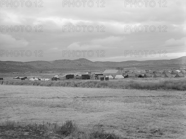 Wide view of the first mobile camp unit (FSA), situated in the Klamath Basin, Oregon, 1939. Creator: Dorothea Lange.