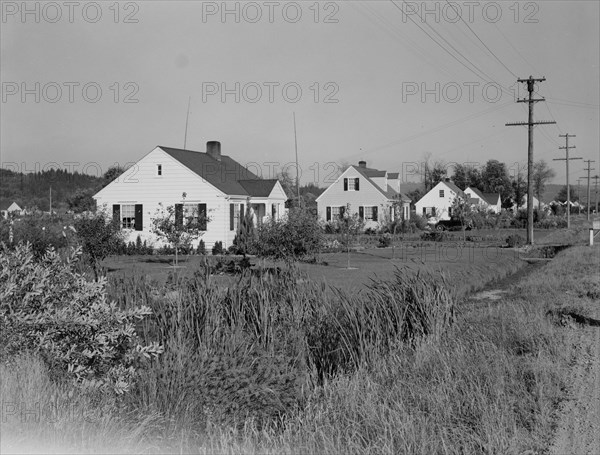 Possibly: Down one street on Longview homestead project, Longview, Cowlitz County, Washington, 1939. Creator: Dorothea Lange.