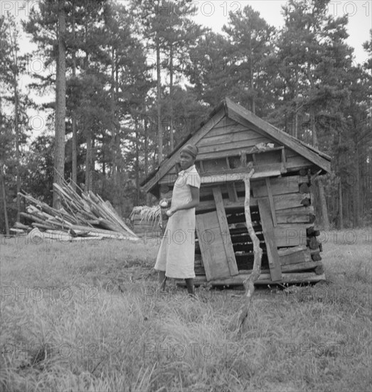 Tobacco sharecropper's daughter getting eggs from hen's nest..., Person County, North Carolina, 1939 Creator: Dorothea Lange.