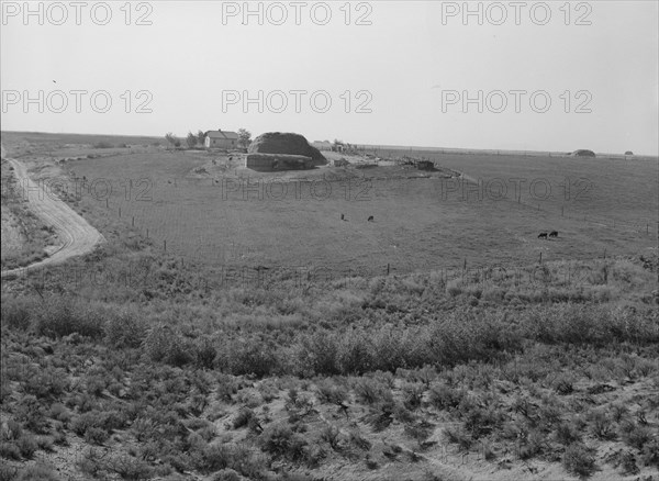 Landscape showing home of FSA borrower..., Nyssa Heights, Malheur County, Oregon, 1939. Creator: Dorothea Lange.