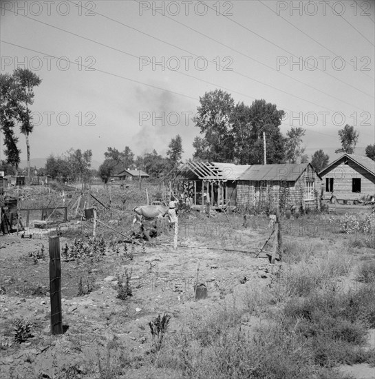 Home, self-built in two years, bit by bit, Yakima, Washington, 1939. Creator: Dorothea Lange.