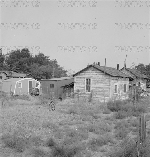 Possibly: Yakima shacktown, (Sumac Park) is one of several large shacktown..., Washington, 1939. Creator: Dorothea Lange.