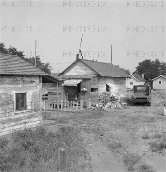 Possibly: Yakima shacktown, (Sumac Park) is one of several large shacktown..., Washington, 1939. Creator: Dorothea Lange.