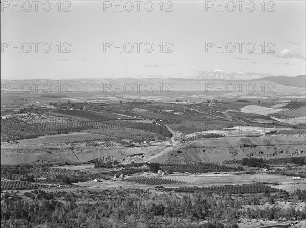 Possibly: Looking down on part of the Valley, approximately six miles from Yakima, Washington, 1939. Creator: Dorothea Lange.