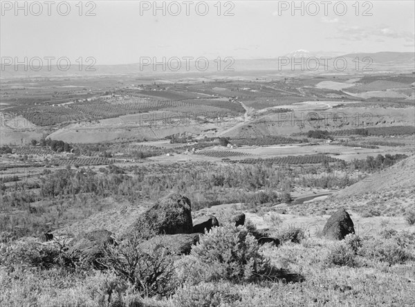 Possibly: Looking down on part of the Valley, approximately six miles from Yakima, Washington, 1939. Creator: Dorothea Lange.