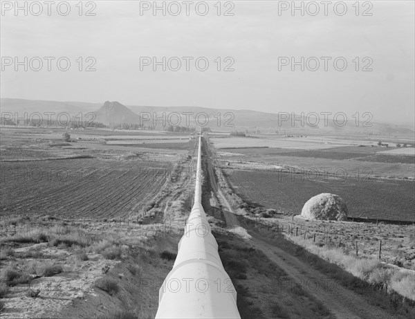 Siphon - the world's longest - which carries water 5 miles to Dead Ox Flat, Oregon, 1939. Creator: Dorothea Lange.