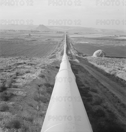 Siphon - the world's longest - which carries water 5 miles to Dead Ox Flat, Oregon, 1939. Creator: Dorothea Lange.