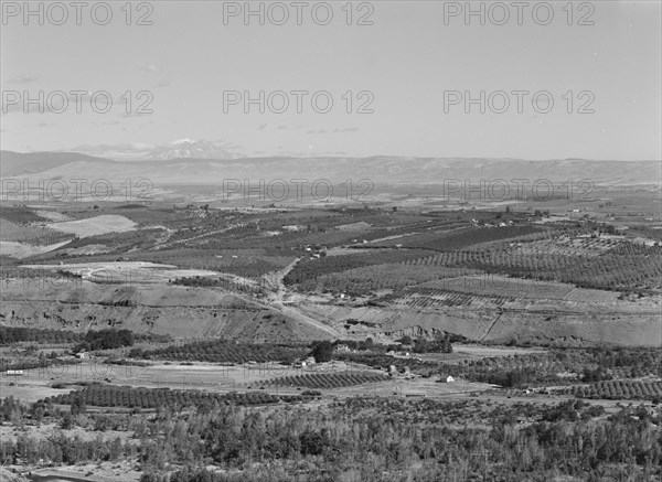 Possibly: Looking down on part of the Valley, approximately six miles from Yakima, Washington, 1939. Creator: Dorothea Lange.