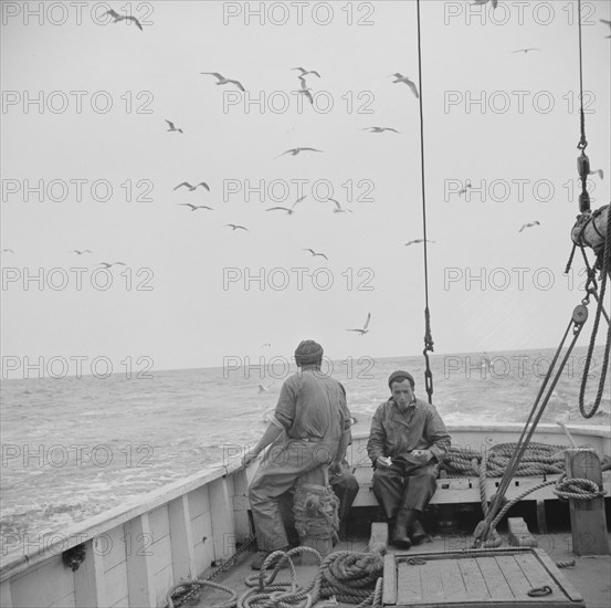 On board the fishing boat Alden, out of Gloucester, Massachusetts, 1943. Creator: Gordon Parks.