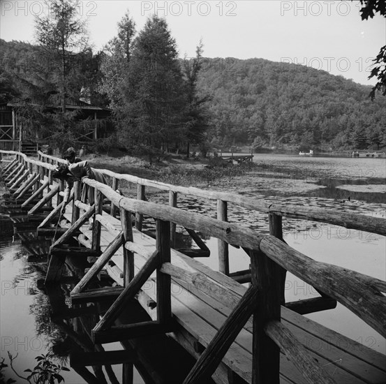 The view from the bridge at Camp Gaylord White and Ellen Marvin, Arden, New York, 1943. Creator: Gordon Parks.