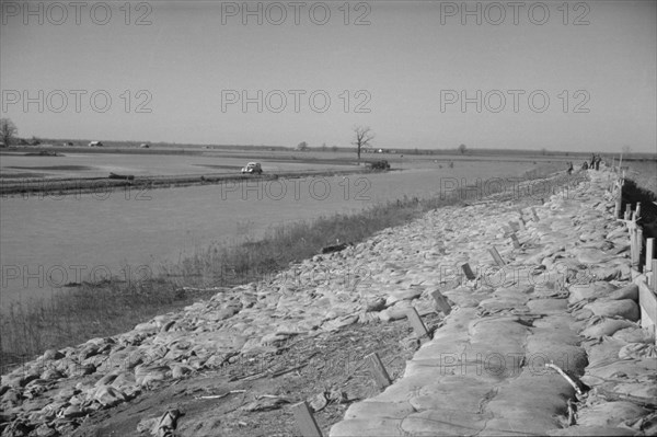 The Bessie Levee, along a subsid...Mississippi River, near Tiptonville, Tennessee, 1937. Creator: Walker Evans.