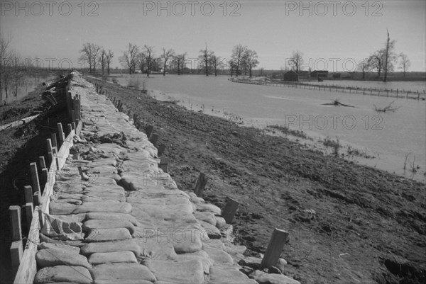 The Bessie Levee, along a subsid...Mississippi River, near Tiptonville, Tennessee, 1937. Creator: Walker Evans.