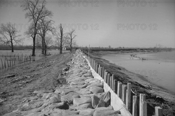 The Bessis Levee, along a subsidiary of the Mississippi River, near Tiptonville, Tennessee, 1937. Creator: Walker Evans.