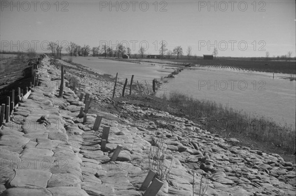 The Bessie Levee, along a subsidiary...Mississippi River, near Tiptonville, Tennessee, 1937. Creator: Walker Evans.