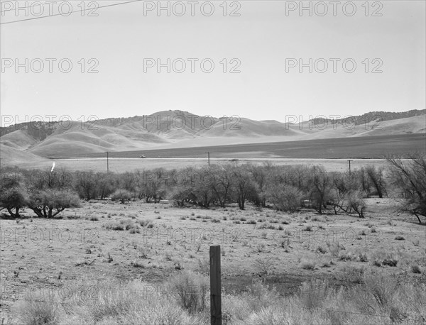 U.S. 99 on ridge over Tehachapi Mountains, 1939. Creator: Dorothea Lange.