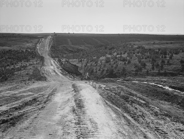 Landscape on top of bench, showing new lands, and farms..., Dead Ox Flat, Oregon, 1939. Creator: Dorothea Lange.