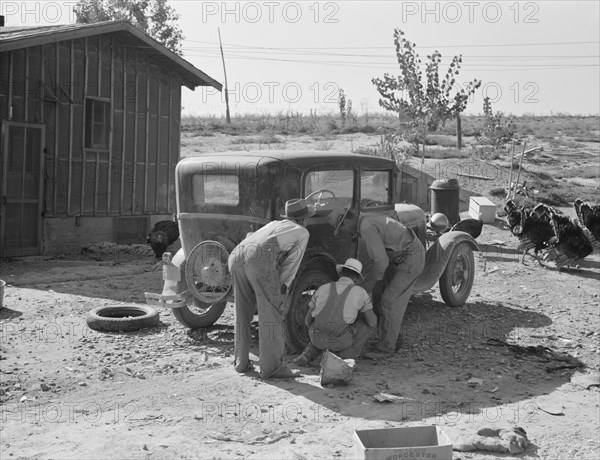 Stephens brothers, who own combine cooperatively..., Nyssa Heights district, Oregon, 1939. Creator: Dorothea Lange.