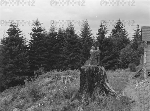 Possibly: Shows charater of the land...Elma, Grays Harbor County, Western Wasington, 1939. Creator: Dorothea Lange.