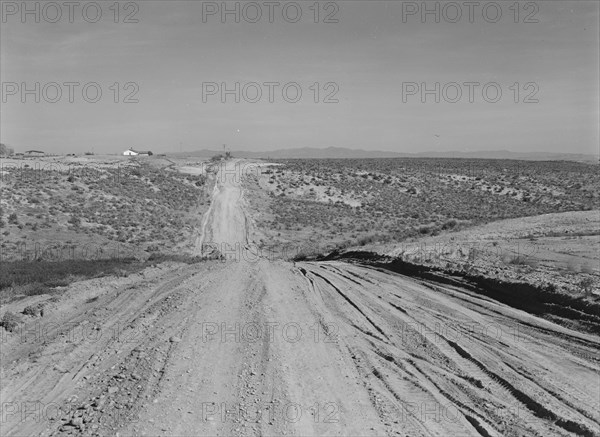 View of newly reclaimed bench land, Dead Ox Flat, Malheur County, Oregon, 1939. Creator: Dorothea Lange.
